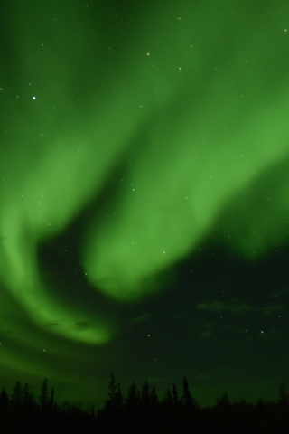 Aurora, green light, sky, night, nature, 240x320 wallpaper