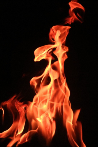 Bonfire, dark, fire, flame, 240x320 wallpaper