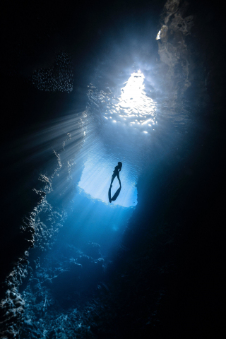 Scuba diver, under-water, silhouette, sea, 240x320 wallpaper