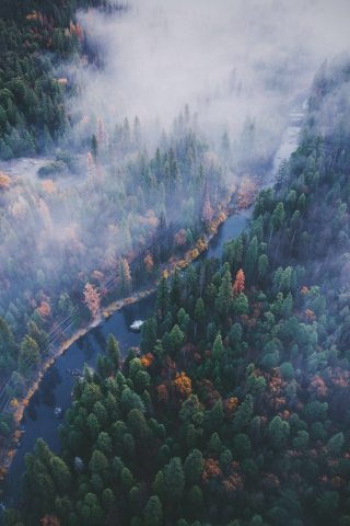 River, aerial view, forest, Yosemite valley, 240x320 wallpaper