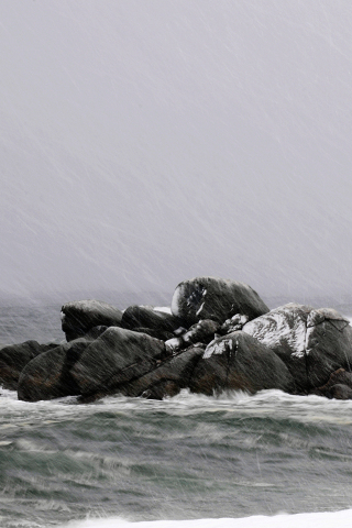 Sea, storm, rain, nature, rocks, 240x320 wallpaper