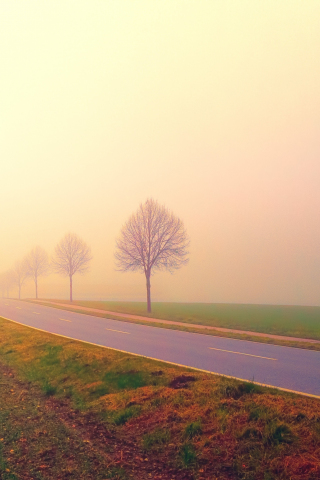 Foggy day, dawn, sunrise, highway, road, landscape, 240x320 wallpaper