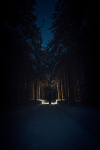 Man, dark, night out, trees, forest, 240x320 wallpaper