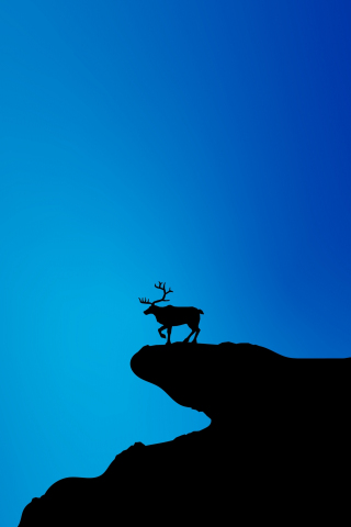 Reindeer, blue and silhouette, minimal, 240x320 wallpaper
