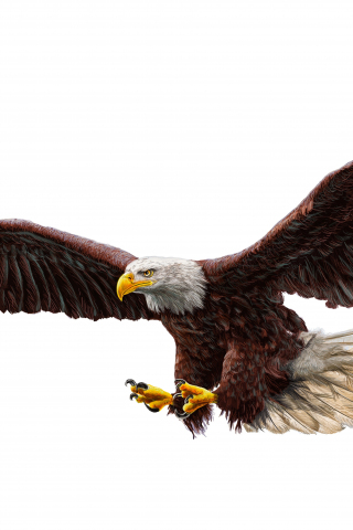 Bald eagle, bird predator, art, 240x320 wallpaper