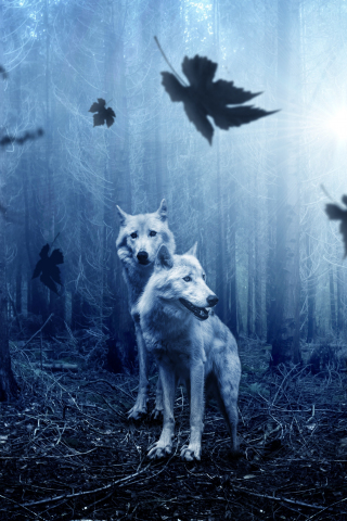 Wolf, predator, forest, wildlife, 240x320 wallpaper