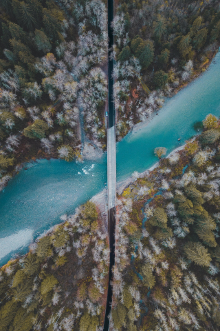 Bridge, river, forest, nature, aerial view, 240x320 wallpaper