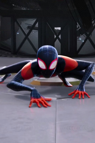 Spider-Man: Into the Spider-Verse, animated movie, superhero, 240x320 wallpaper