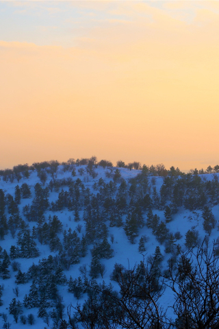 Winter, hilltop, sunset, nature, 240x320 wallpaper