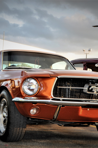 Front, Ford Mustang, muscle car, 240x320 wallpaper