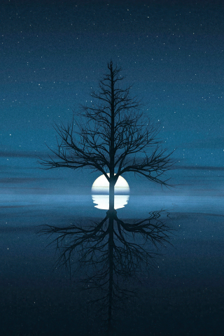 Moon set behind tree, reflections, lake, silhouette, 240x320 wallpaper