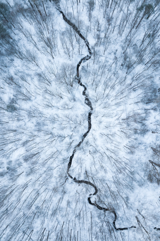 Aerial view, white forest, stream, winter, 240x320 wallpaper