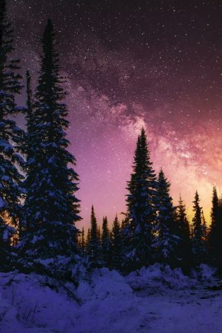 Winter, beautiful night, forest, galaxy, nature, 240x320 wallpaper