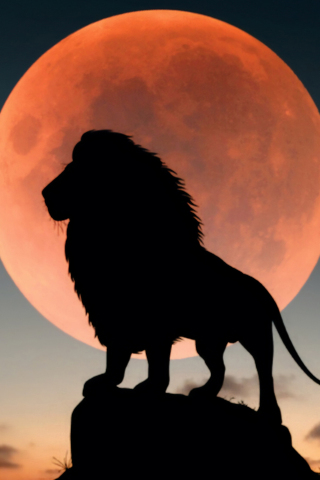 Lion king, full red moon, silhouette, 240x320 wallpaper