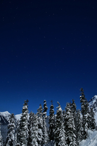 Blue sky, winter, night, nature, 240x320 wallpaper