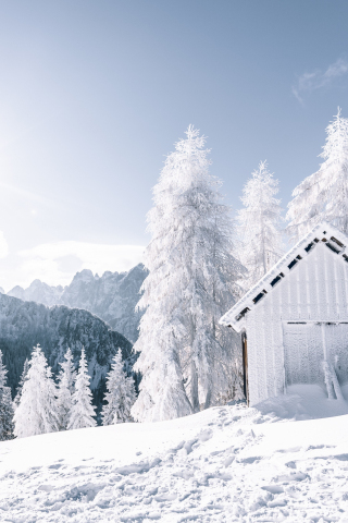 Winter, landscape, forest, white tree, snowfrost, hut, 240x320 wallpaper