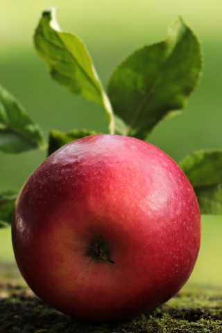 Apple, fruit, close up, 240x320 wallpaper