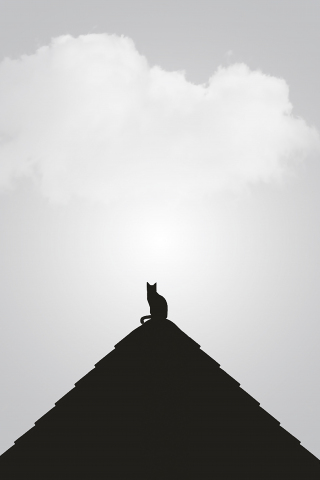 Silhouette, minimal, cat, rooftop, 240x320 wallpaper