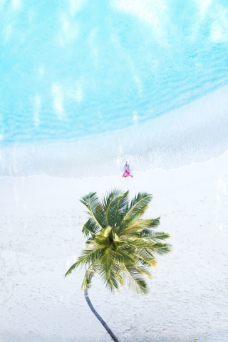 Palm tree, aerial view, beach, 240x320 wallpaper