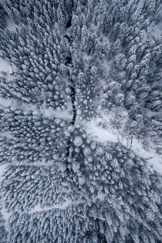 Winter, snowfrost, aerial view, forest, 240x320 wallpaper