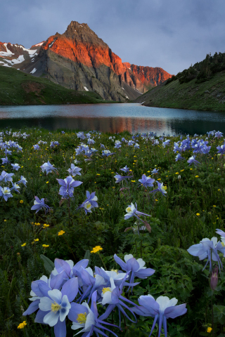 Mountains, sunset and lake, nature, meadow flowers, 240x320 wallpaper