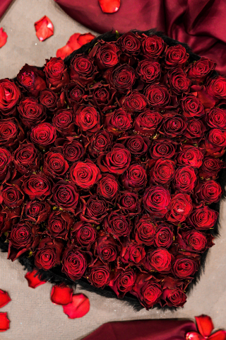 Heart shape Bouquet, red roses, fresh, 240x320 wallpaper