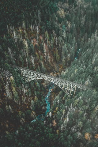 Bridge, forest, aerial view, nature, 240x320 wallpaper