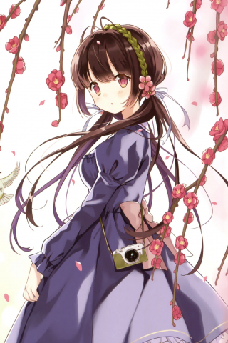 Pink eyes, blossom, outdoor, anime girl, 240x320 wallpaper
