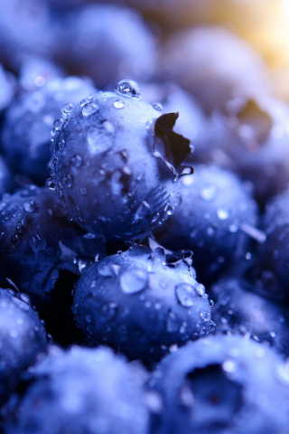 Blueberries, drops, macro, 240x320 wallpaper