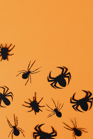 Halloween, black spiders wall stickers, minimal, 240x320 wallpaper