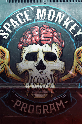 Skull, Logo, Beyond Good and Evil 2, video game, 2018, 240x320 wallpaper