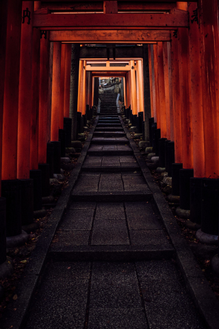Stairs, tunnel, pathway, 240x320 wallpaper