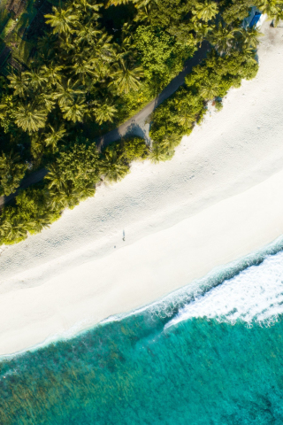 Adorable and exotic beach, aerial view, holiday, 240x320 wallpaper