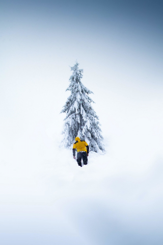 Winter, mountaineer, tree, nature, 240x320 wallpaper