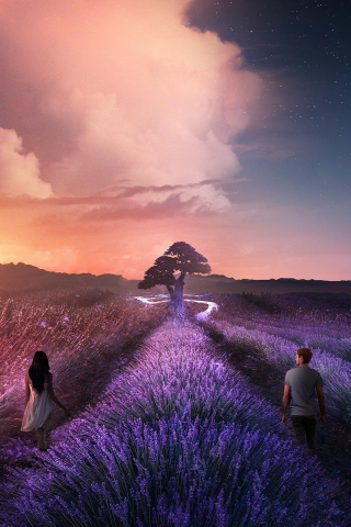 Couple, lilac farm, landscape, digital art, sunset, 240x320 wallpaper
