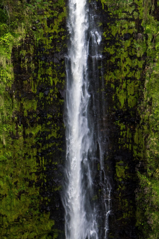 Green, waterfall, nature, 240x320 wallpaper