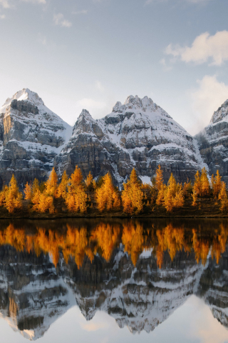 Golden trees, lake, mountains, 240x320 wallpaper