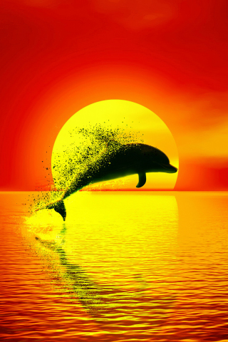 Dolphin, dispersion, sunset, seascape, art, 240x320 wallpaper