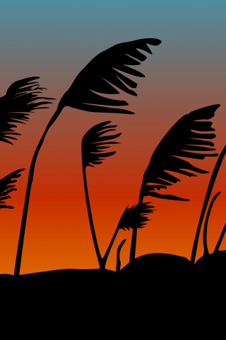 Sunset, silhouette, sky, plants, digital art, 240x320 wallpaper