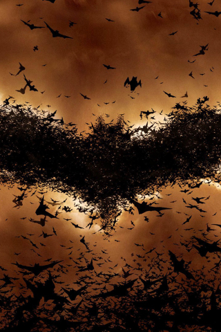 Batman Begins, bats, symbol, movie, logo, 240x320 wallpaper
