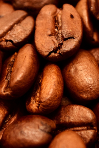 Roasted, coffee beans, close up, 240x320 wallpaper