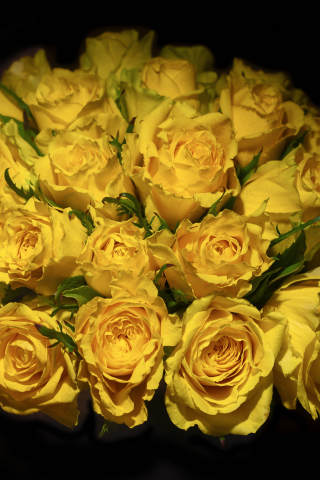 Yellow roses, portrait, bouquet, 240x320 wallpaper