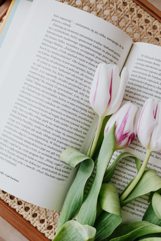 Flowers and book, reading, 240x320 wallpaper