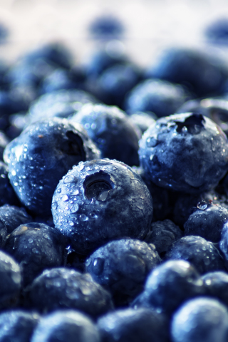 Fresh, fruits, blueberry, drops, 240x320 wallpaper