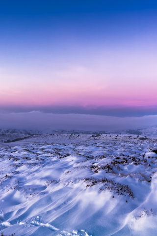 Snow, landscape, pink sunset, skyline, 240x320 wallpaper