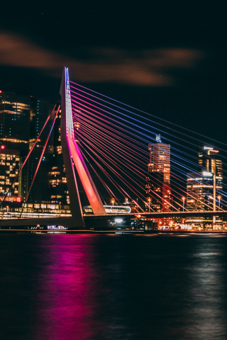 Erasmus Bridge, night, cityscape, Rotterdam, night, 240x320 wallpaper
