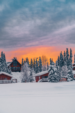 Houses, winter, golden glow, sunset, 240x320 wallpaper