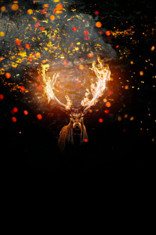 Deer, horns on fire, muzzle, art, 240x320 wallpaper