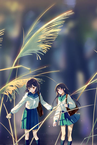 Art, dwarf, grass, anime girls, 240x320 wallpaper