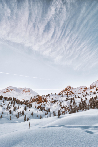 Winter, snow layer, landscape, nature, 240x320 wallpaper